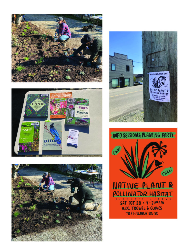 South End Pollinator and Native Plant Habitat | Neighbourhood Small Grants